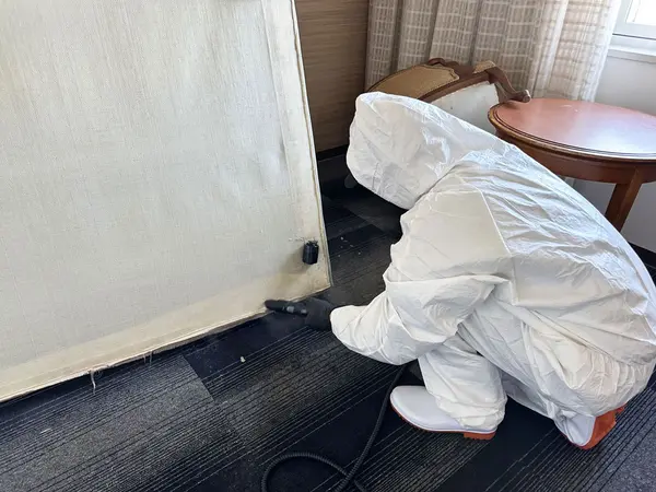 害虫の痕跡調査