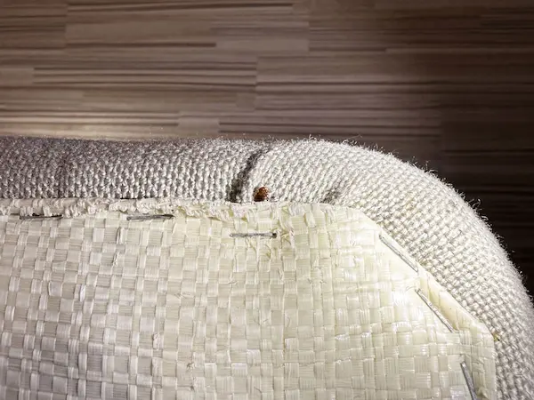 害虫の痕跡調査３