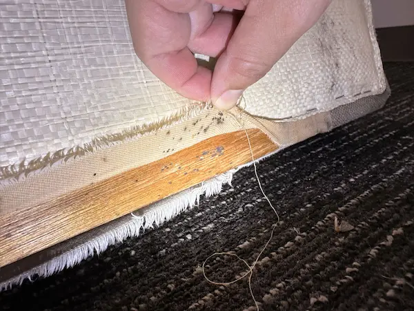 害虫の痕跡調査５